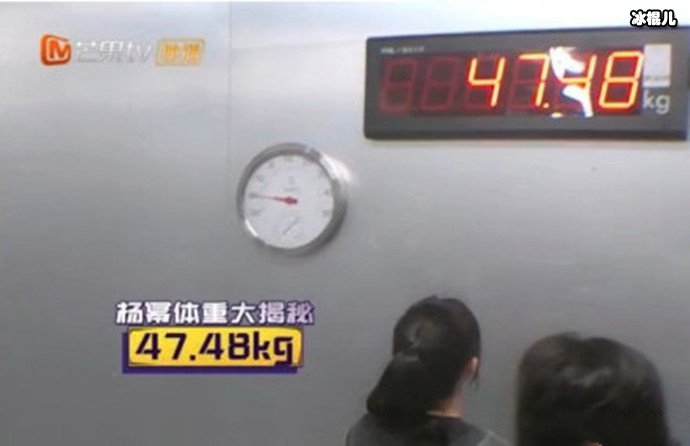 杨幂体重