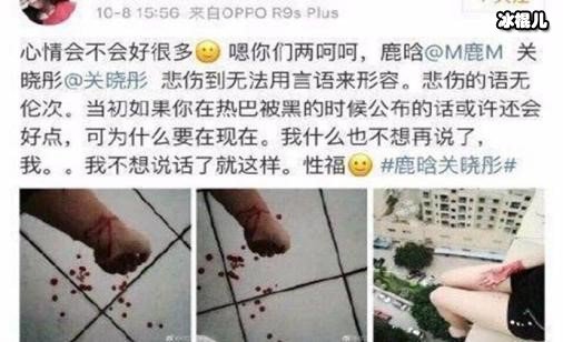 鹿晗粉丝跳楼