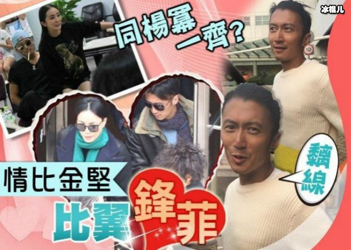 王菲谢霆锋