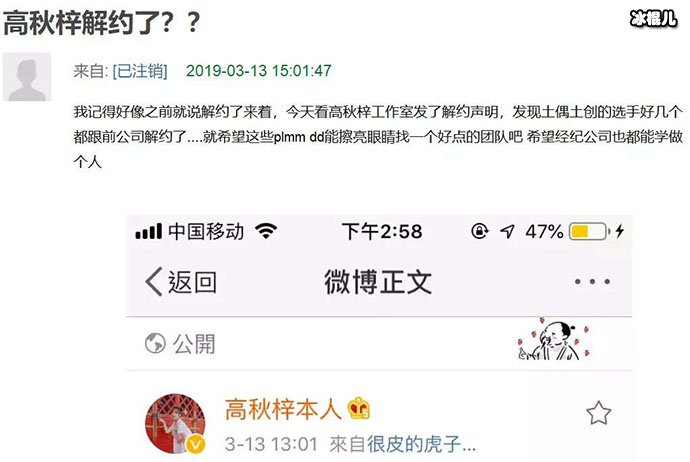 高秋梓解约