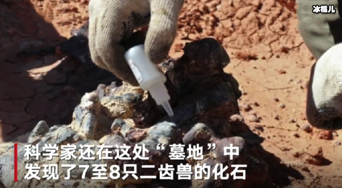 恐龙墓