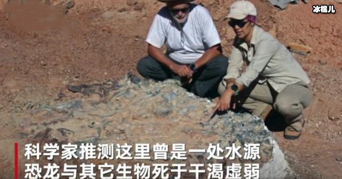 恐龙墓