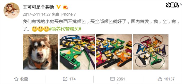王思聪可可