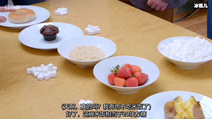 BBC纪录片