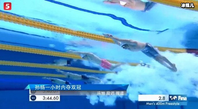 孙杨比赛现场