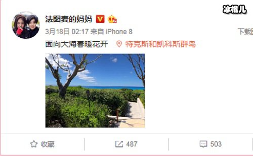哈文微博