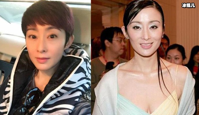 张敏现状,曾经的美人如今怎样了