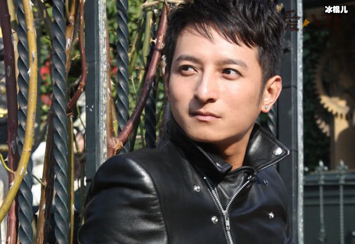 李维嘉照片